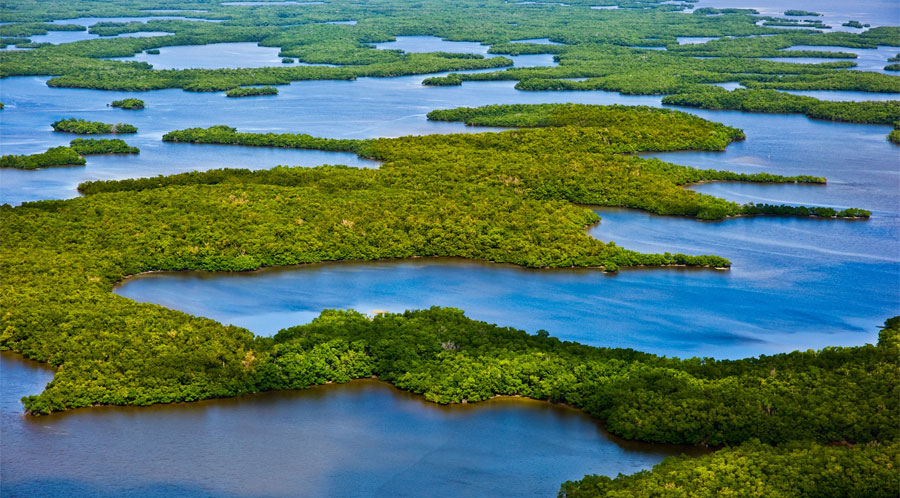 Everglades National Park